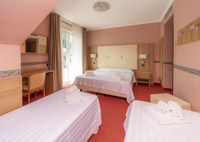 德拉托雷酒店 酒店 斯特雷萨